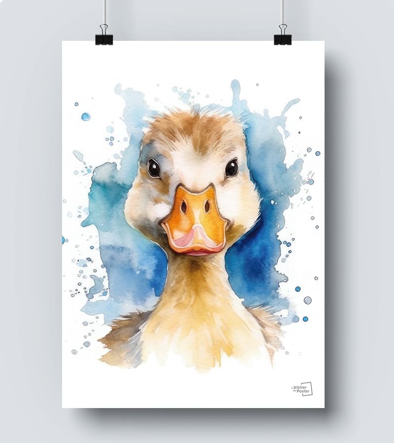 Affiche Canard