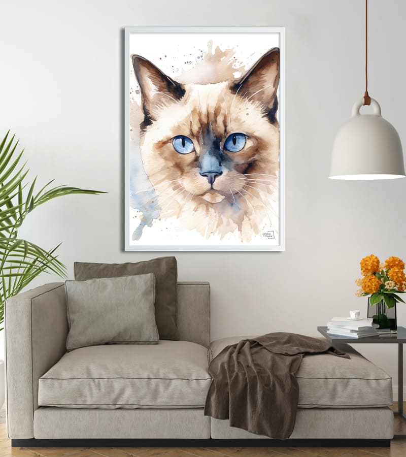 poster chat Sacré de Birmanie