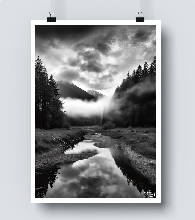 Affiche Nature Noir et Blanc