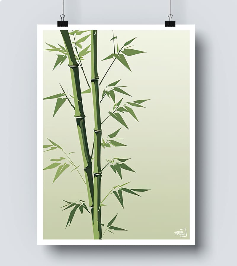 Affiche pousse de bambou