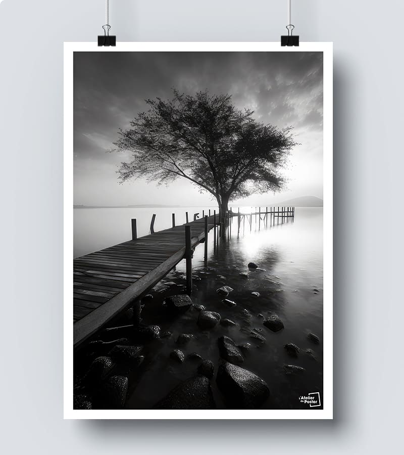 Affiche Lac Noir et Blanc