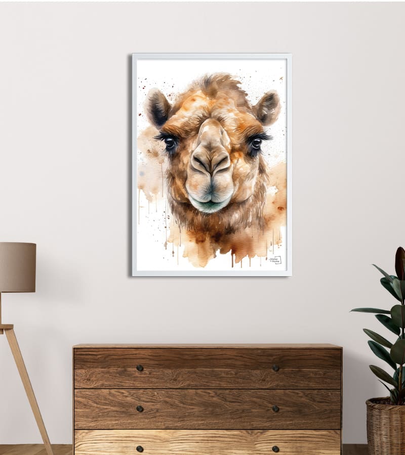 Poster Chameau / Dromadaire