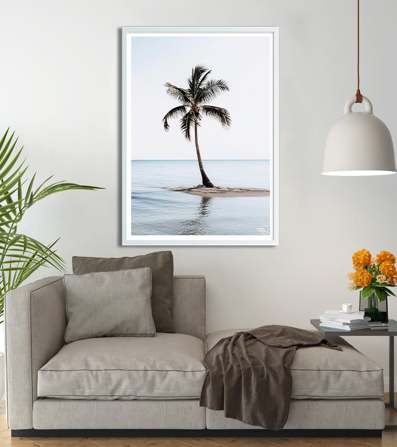Poster Palmier sur la plage - Photographie