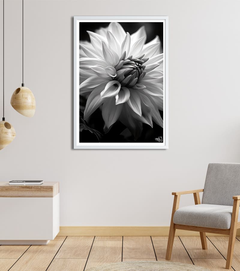 Affiche Fleur Noir et Blanc