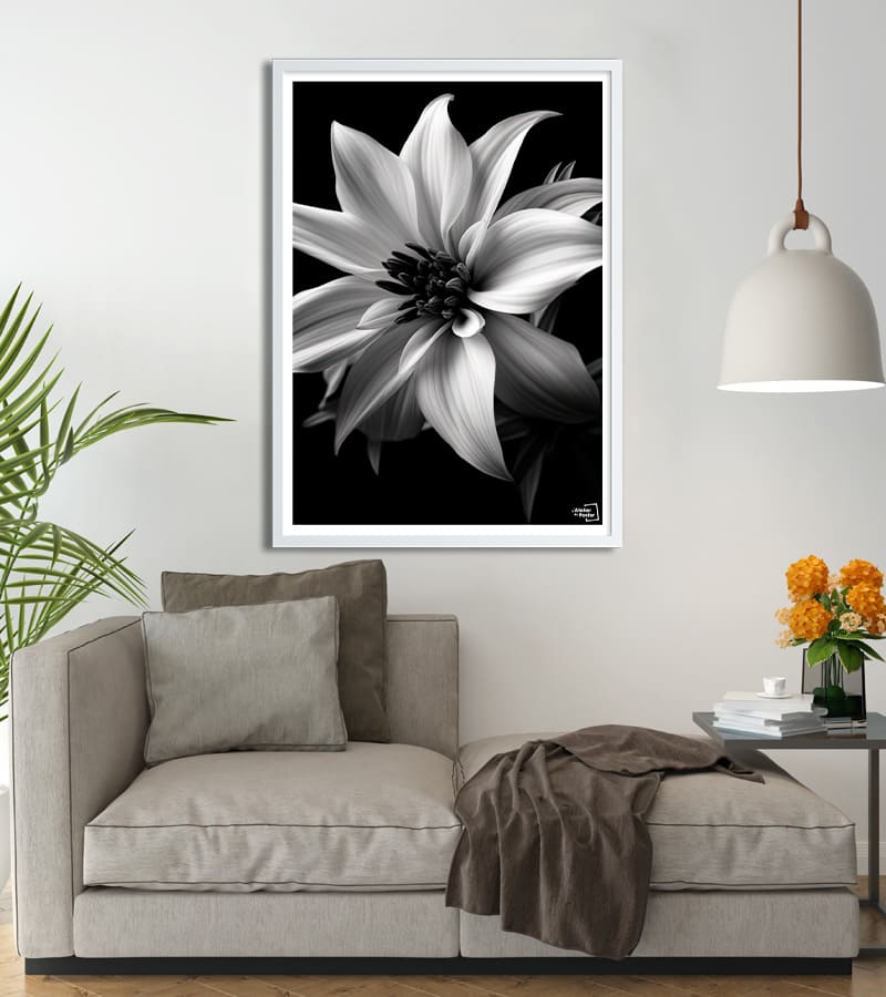 Poster Flower Noir et Blanc