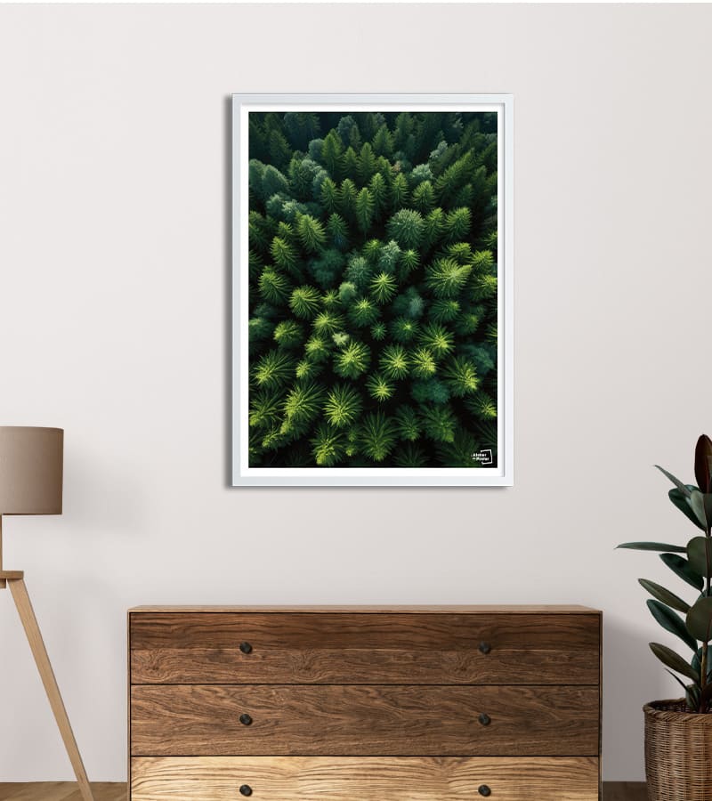 poster Forêt de Pins