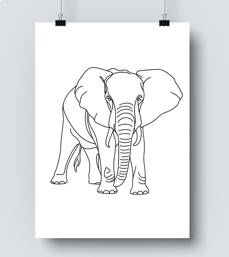 Affiche Line Art Elephant #19