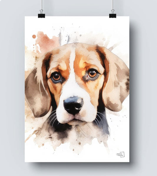 Affiche Beagle chien