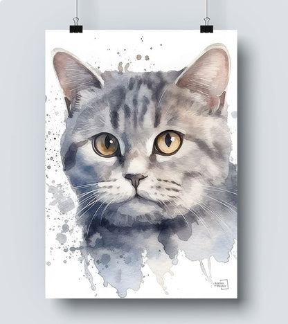 Affiche British Shorthair chat