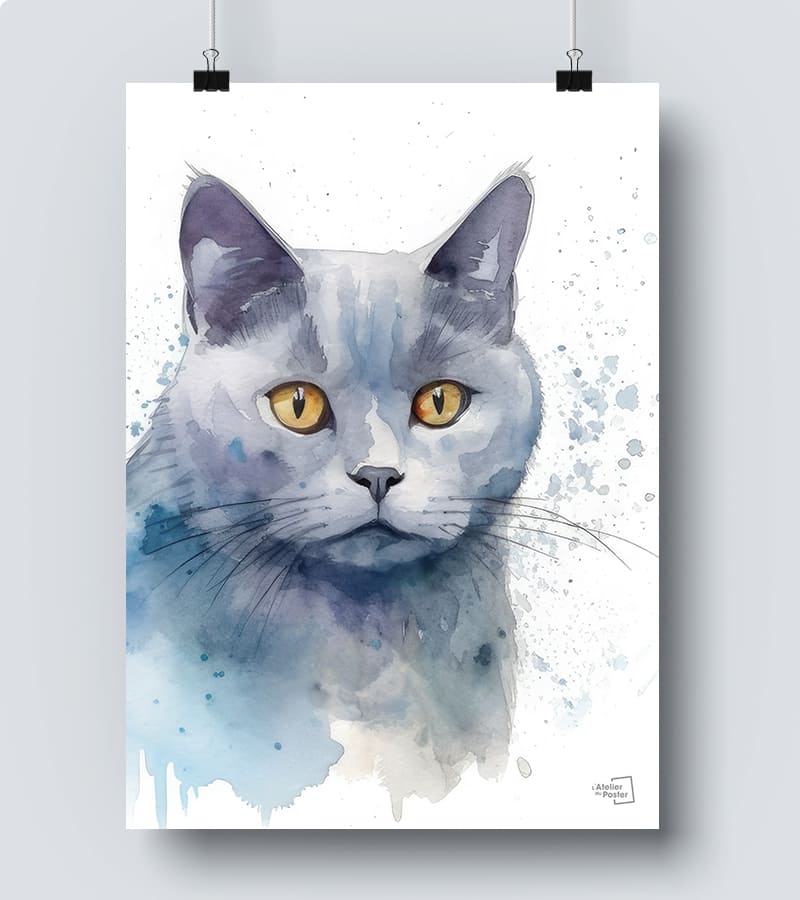 Affiche Chartreux chat 