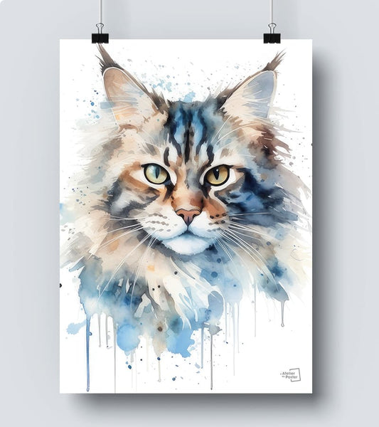 Affiche Maine Coon 