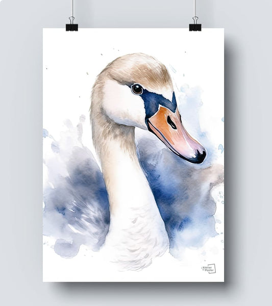 Affiche Cygne