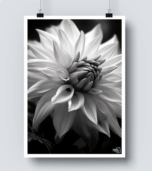 poster Fleur Noir et Blanc