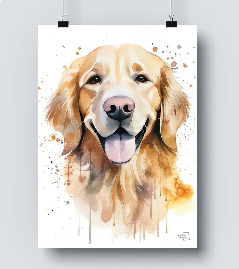 Affiche Golden Retriever