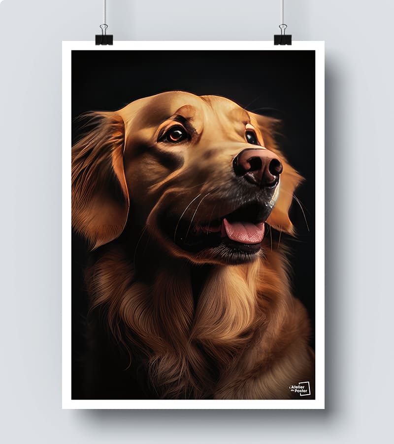 Affiche Chien Golden Retriever