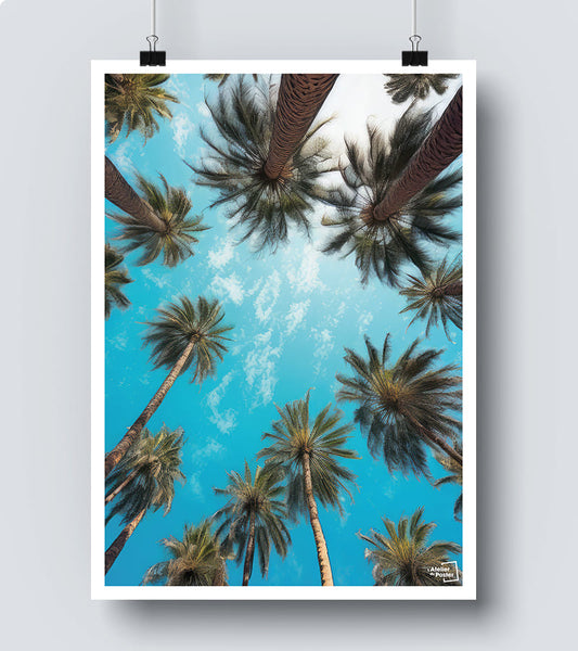 Affiche Palmiers vu sur le ciel - Photographie