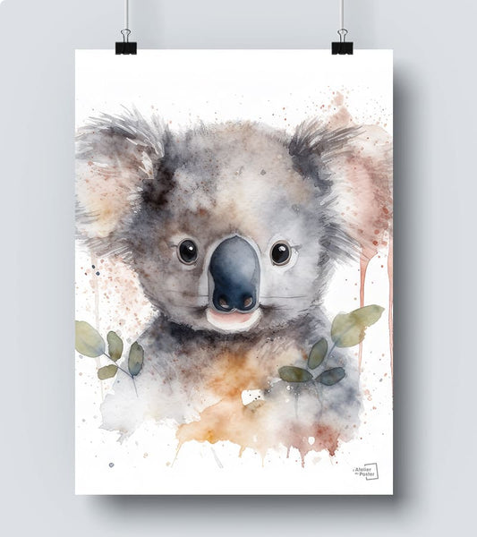 poster Koala