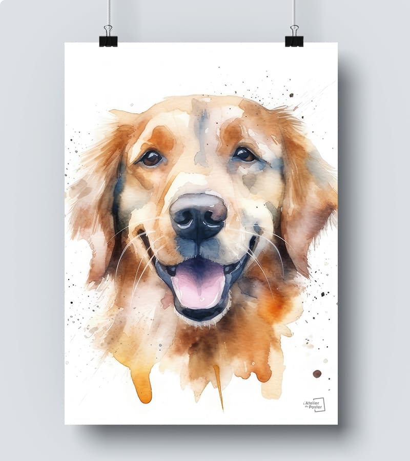 Poster labrador