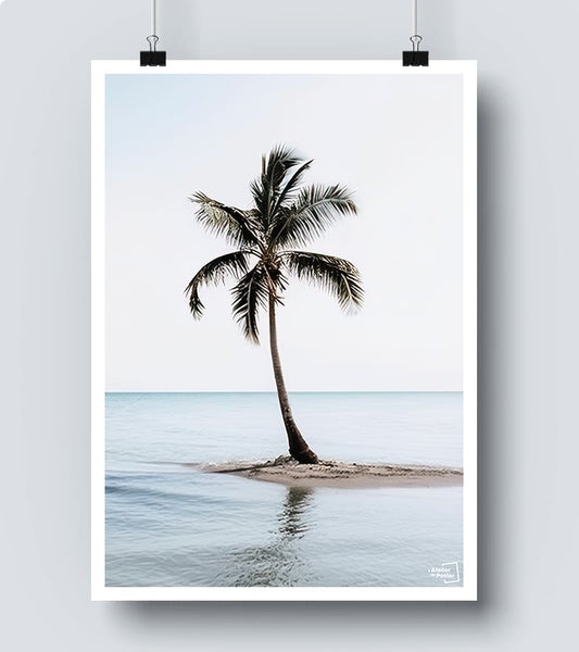 Affiche Palmier sur la plage - Photographie 