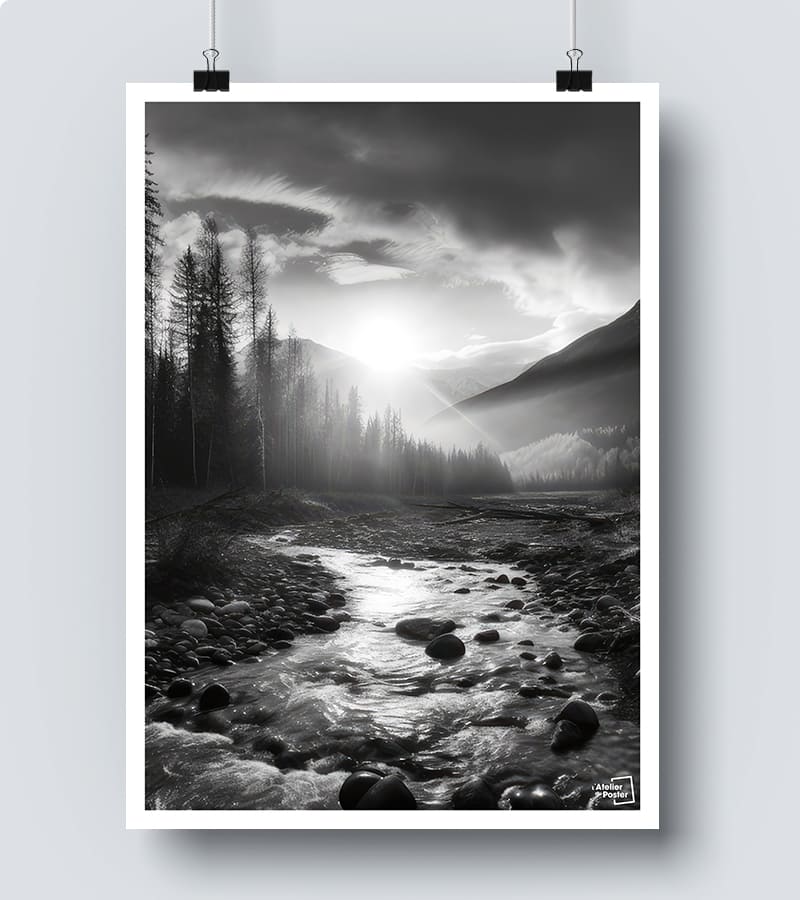 Affiche Forêt Noir et Blanc