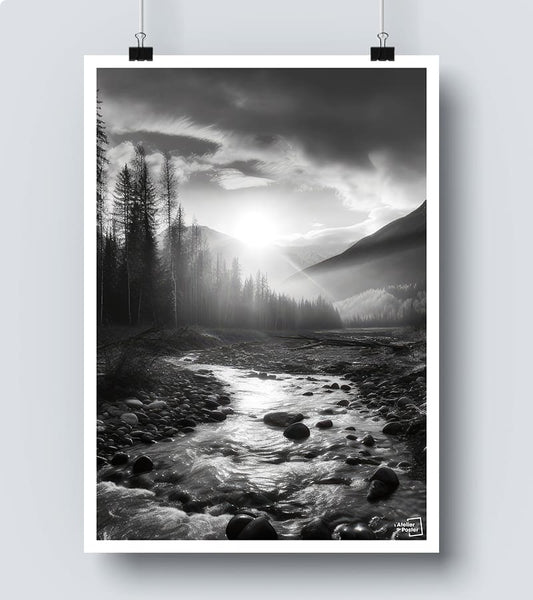 Affiche Forêt Noir et Blanc