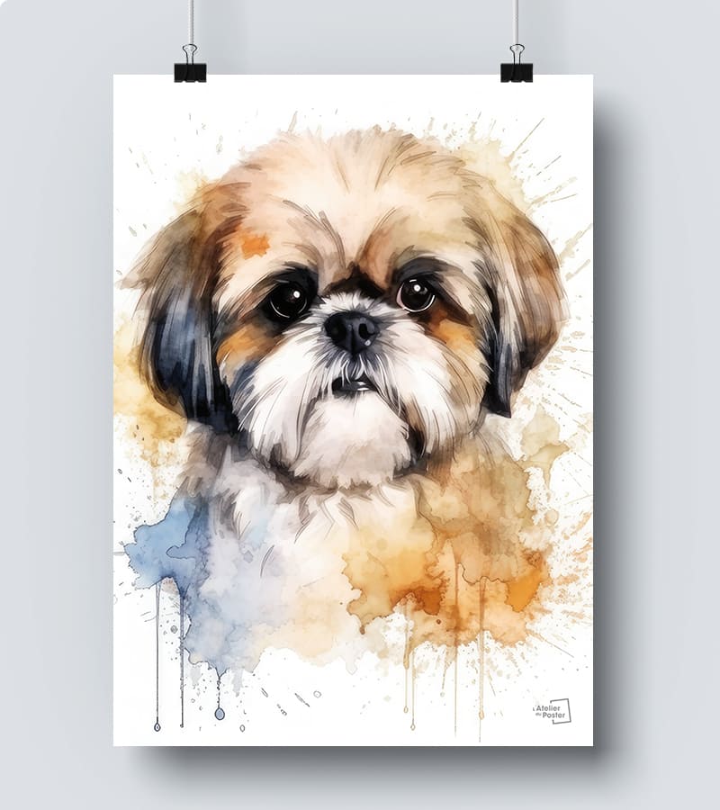 Poster Shih tzu