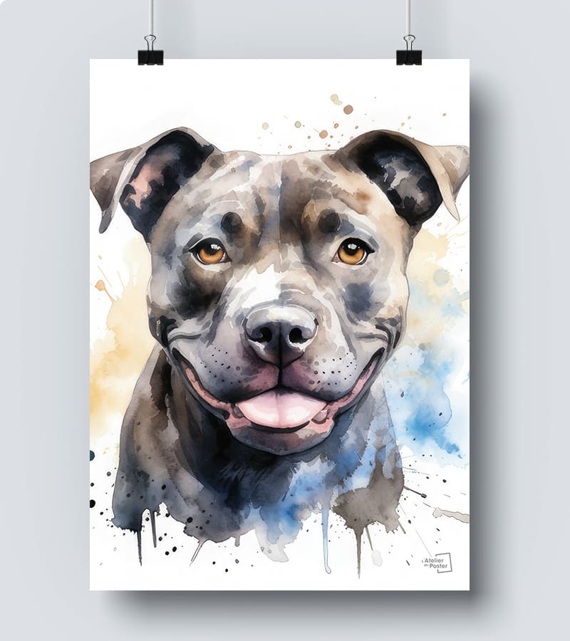 Affiche Staffordshire bull terrier