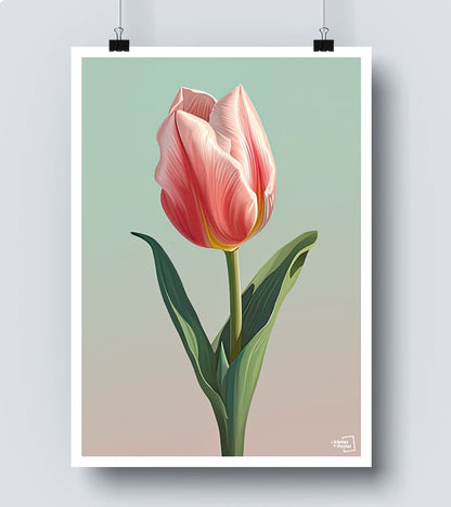 Affiche Tulipe