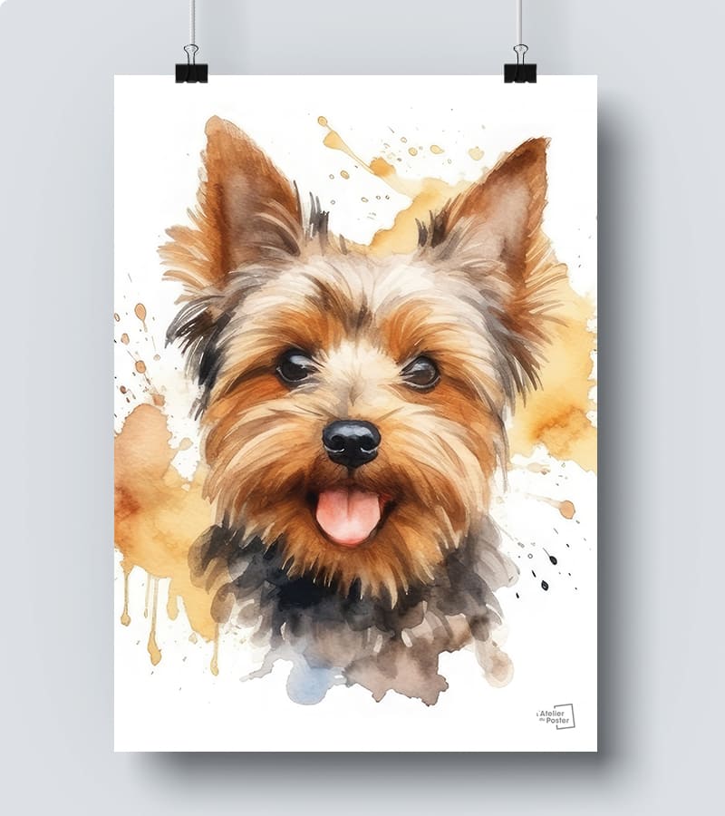 Poster chien yorkshire