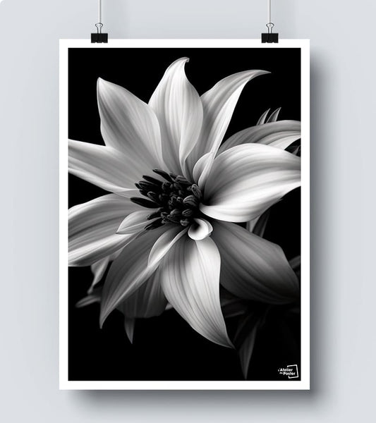 Affiche Flower Noir et Blanc