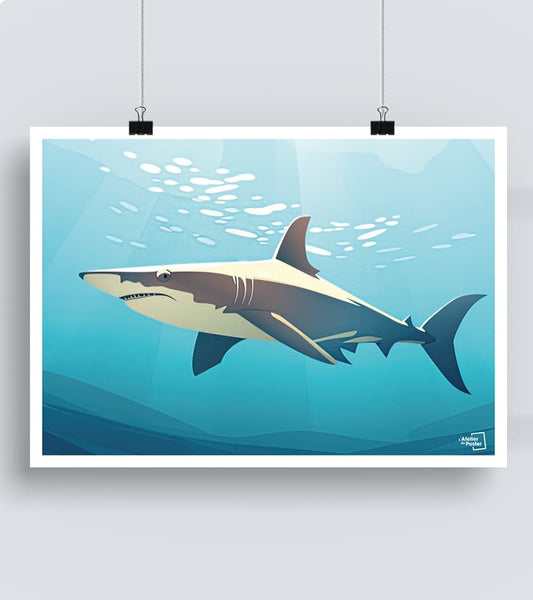 Affiche Requin