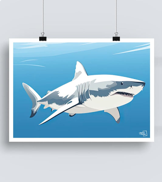 Affiche Requin Blanc