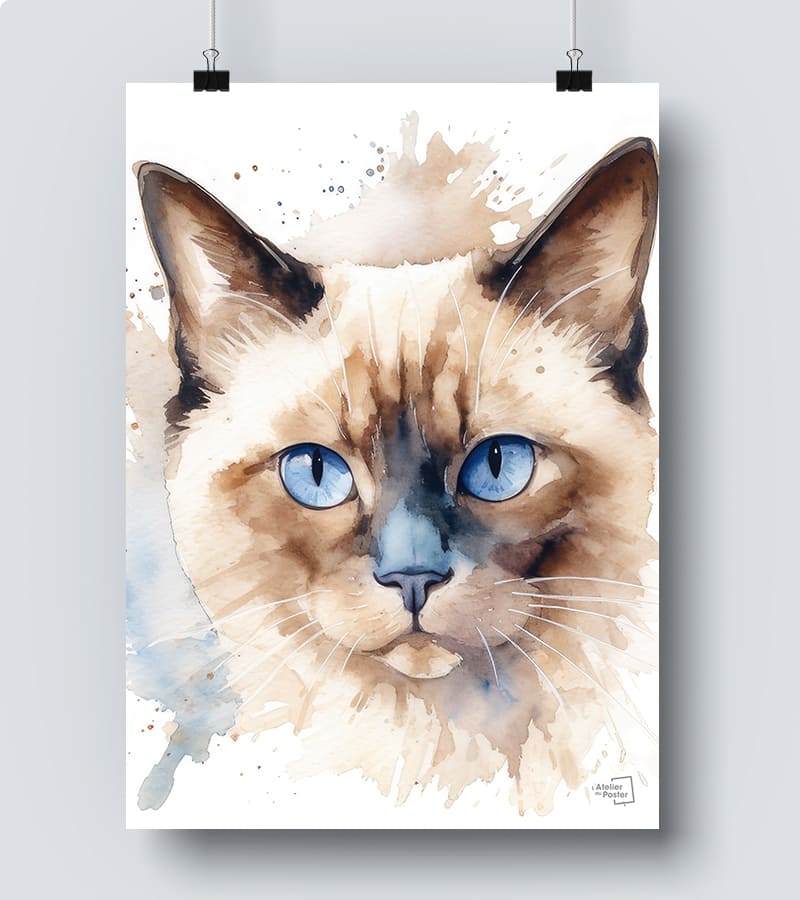 Vente affiche : acheter les posters pas cher de Birmanie Vente affiche : acheter les posters pas cher de Birmanie