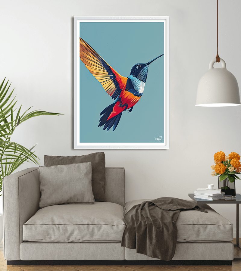 poster Colibri