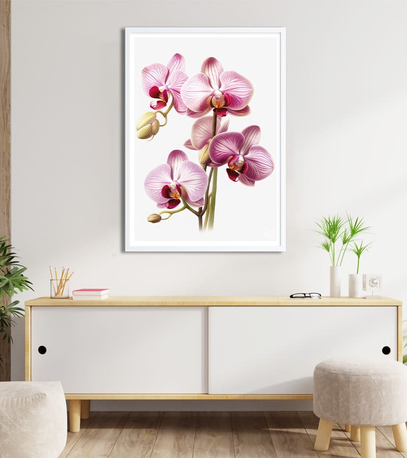 Poster Orchidée