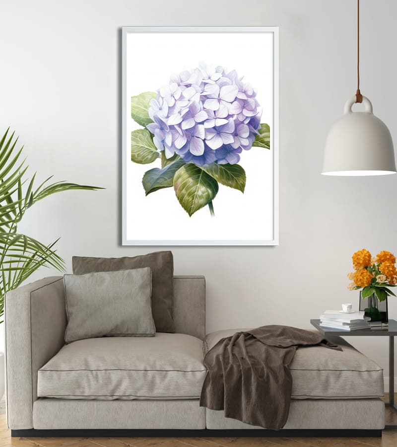 poster Hortensia