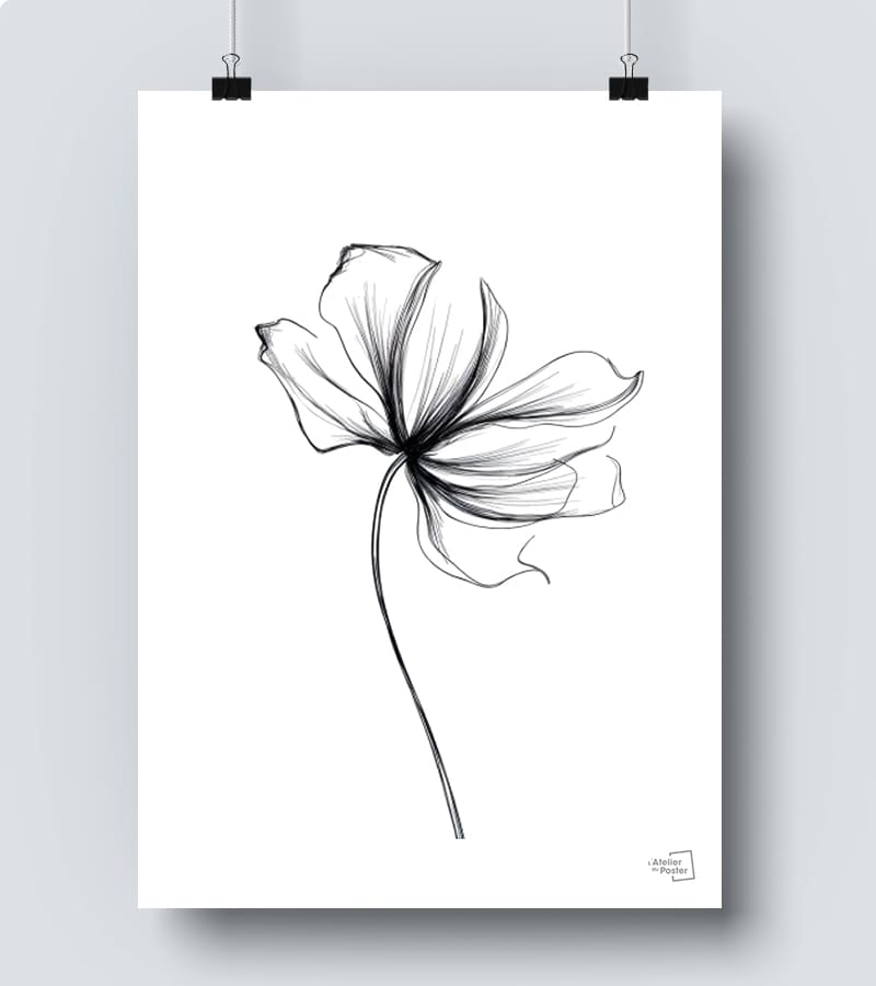 Affiche One line Fleur