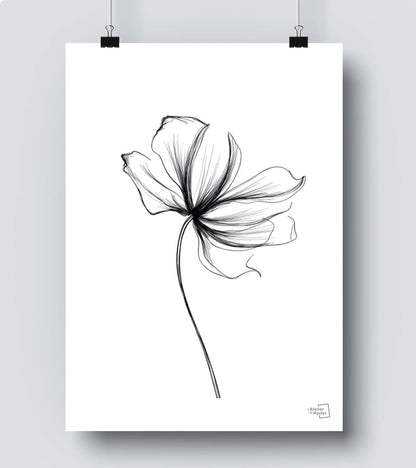 Affiche One line Fleur